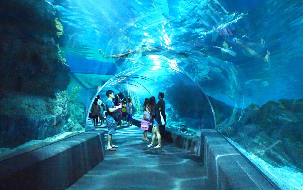 Bangkok Oceanarium