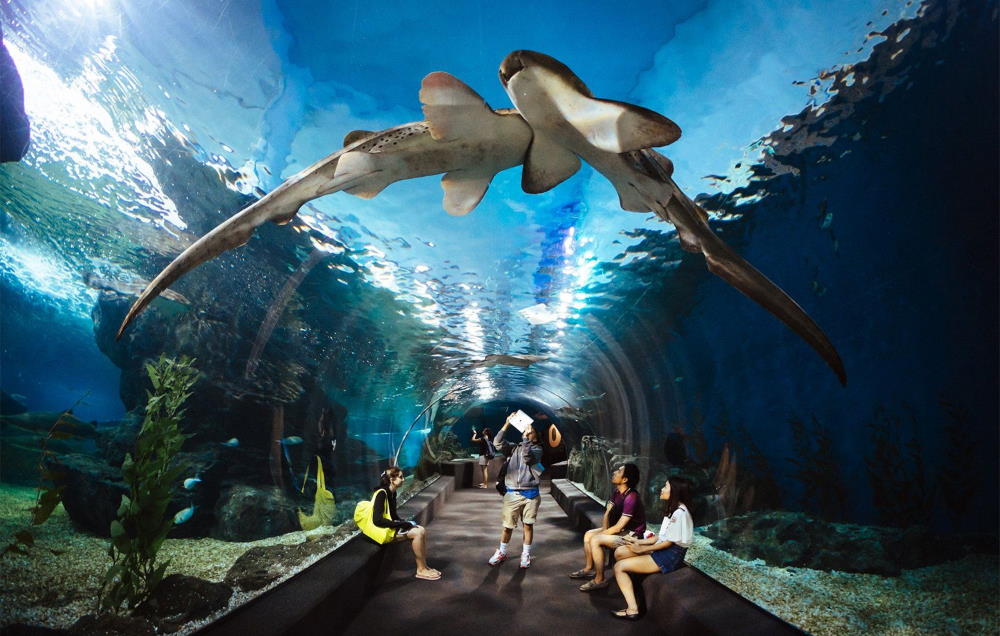 Bangkok Oceanarium - Siam Ocean World