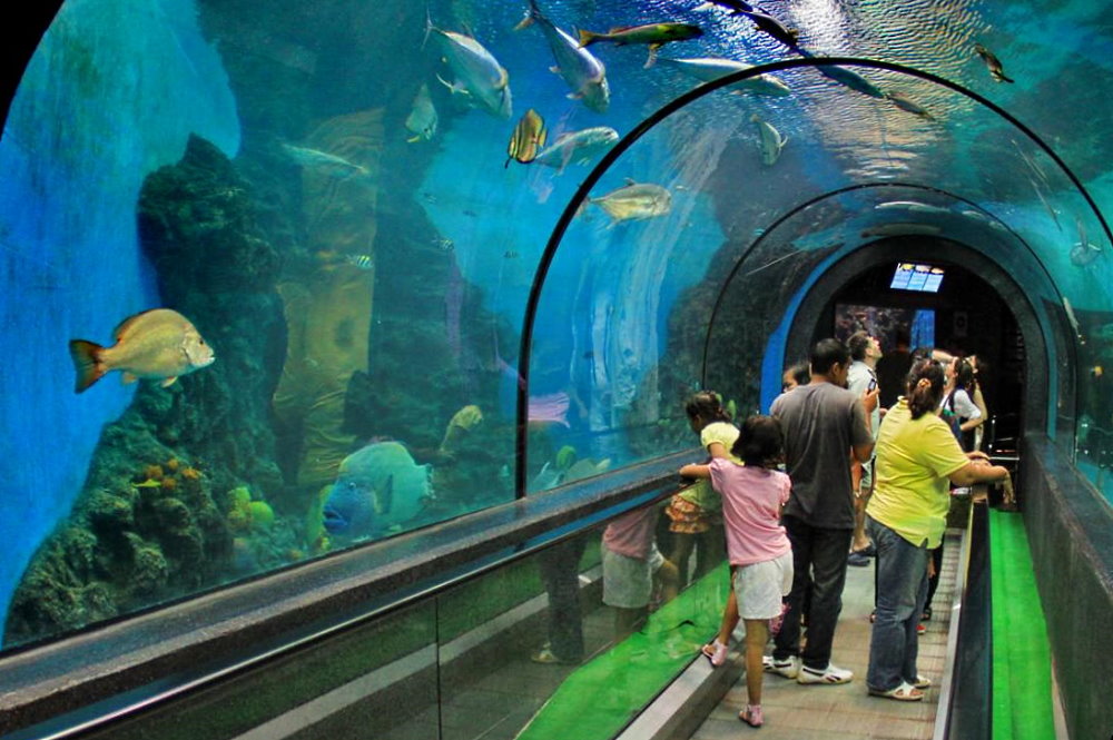 Phuket Aquarium (Panwa)