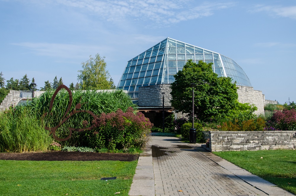 Butterfly Conservatory near Niagara Falls